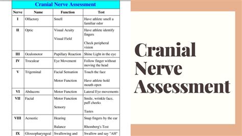 cranial nerve exam video|cranial nerve normal video.